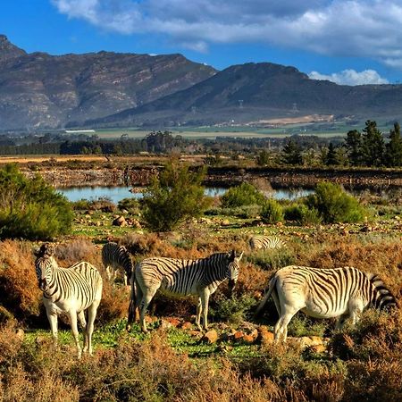 Welbedacht Game & Nature Reserve Tulbagh Bagian luar foto