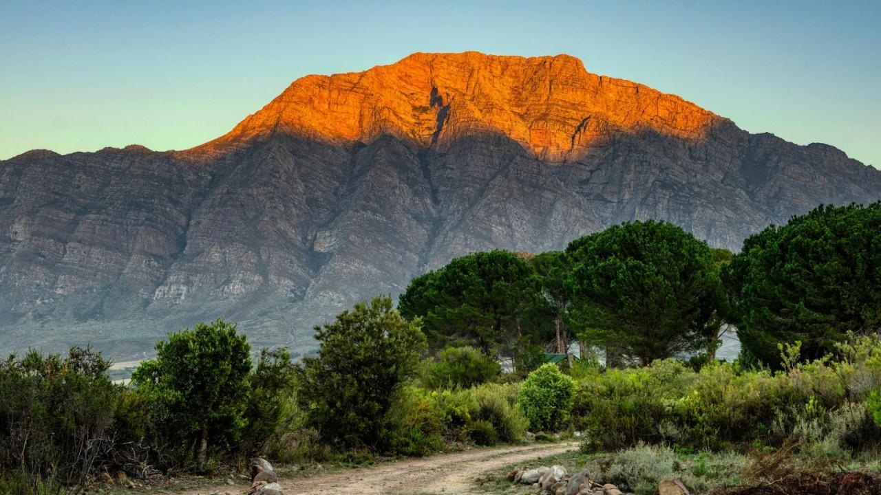 Welbedacht Game & Nature Reserve Tulbagh Bagian luar foto