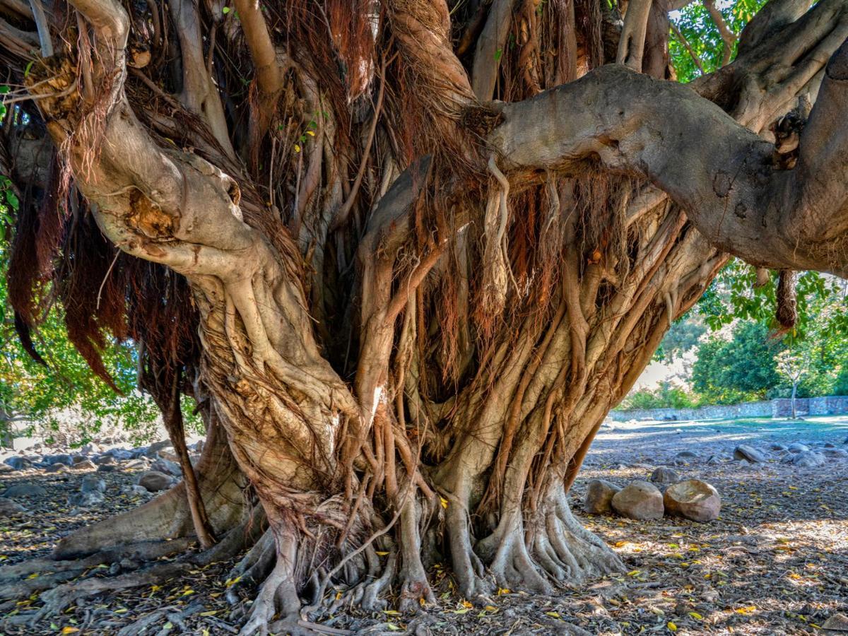 Welbedacht Game & Nature Reserve Tulbagh Bagian luar foto