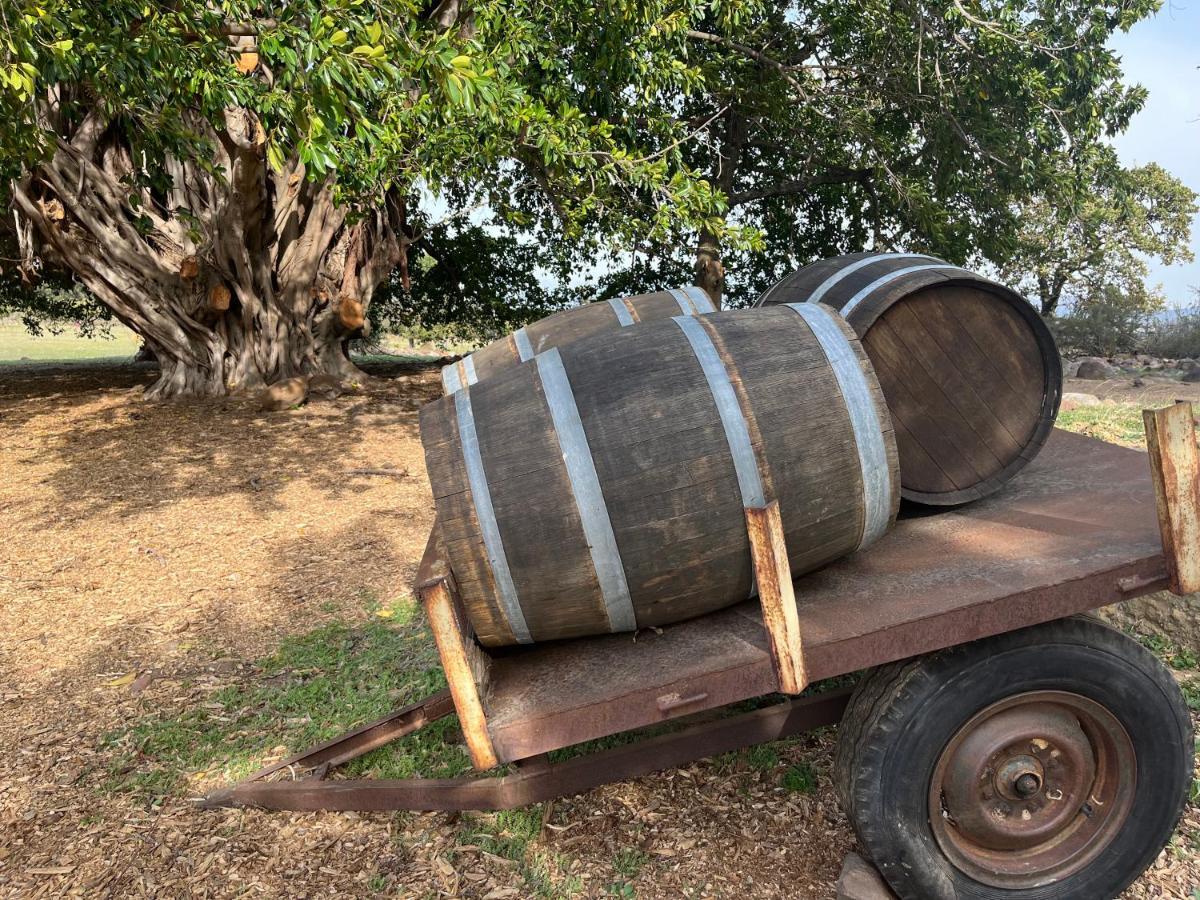 Welbedacht Game & Nature Reserve Tulbagh Bagian luar foto