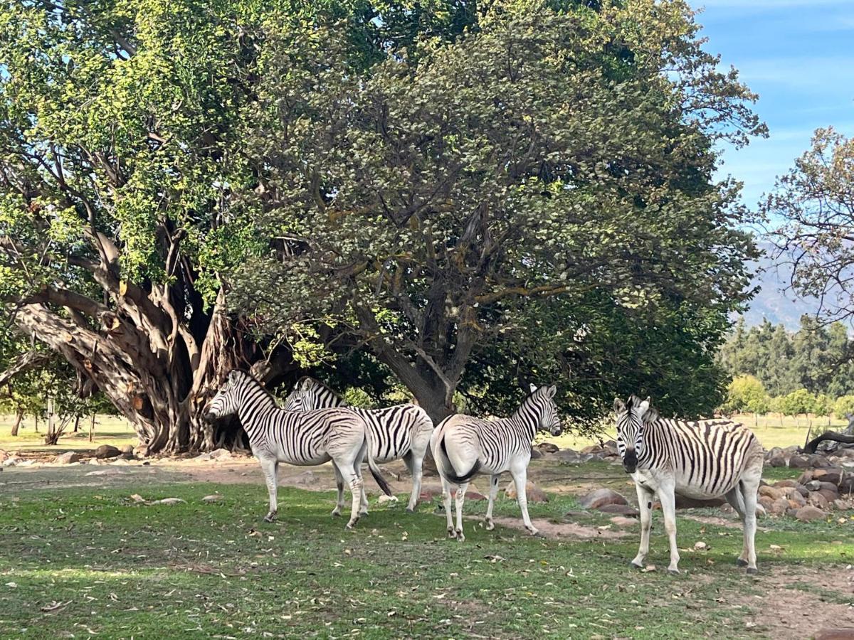 Welbedacht Game & Nature Reserve Tulbagh Bagian luar foto