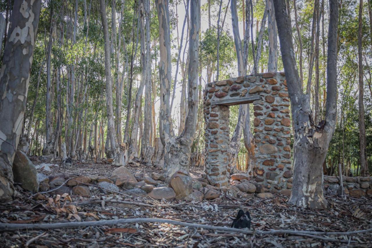 Welbedacht Game & Nature Reserve Tulbagh Bagian luar foto