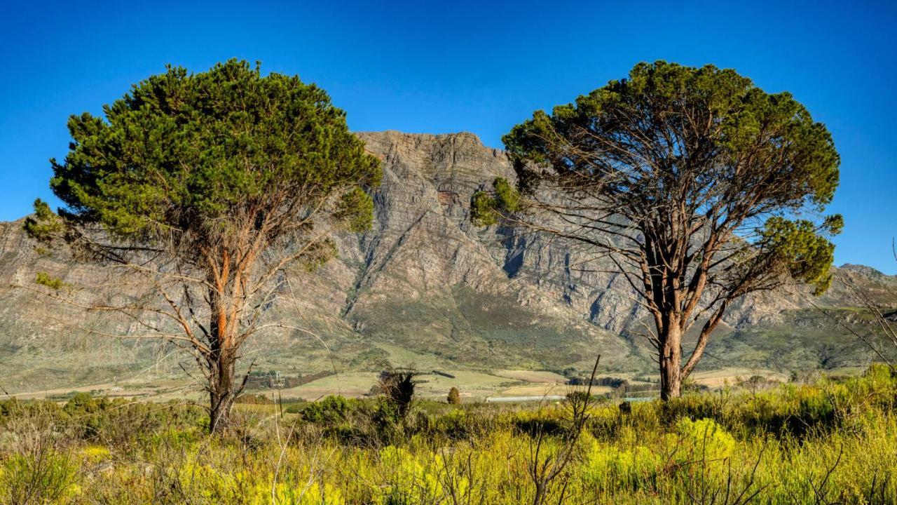 Welbedacht Game & Nature Reserve Tulbagh Bagian luar foto