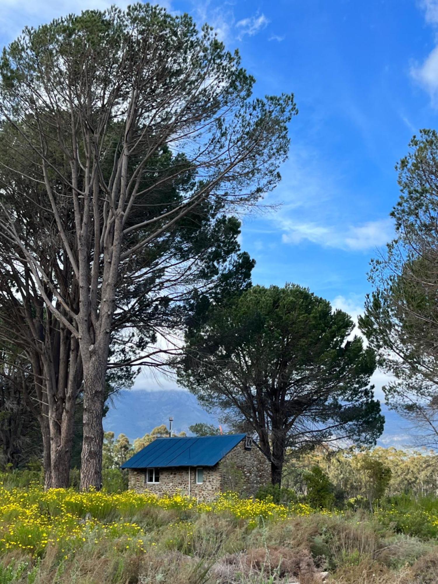 Welbedacht Game & Nature Reserve Tulbagh Bagian luar foto